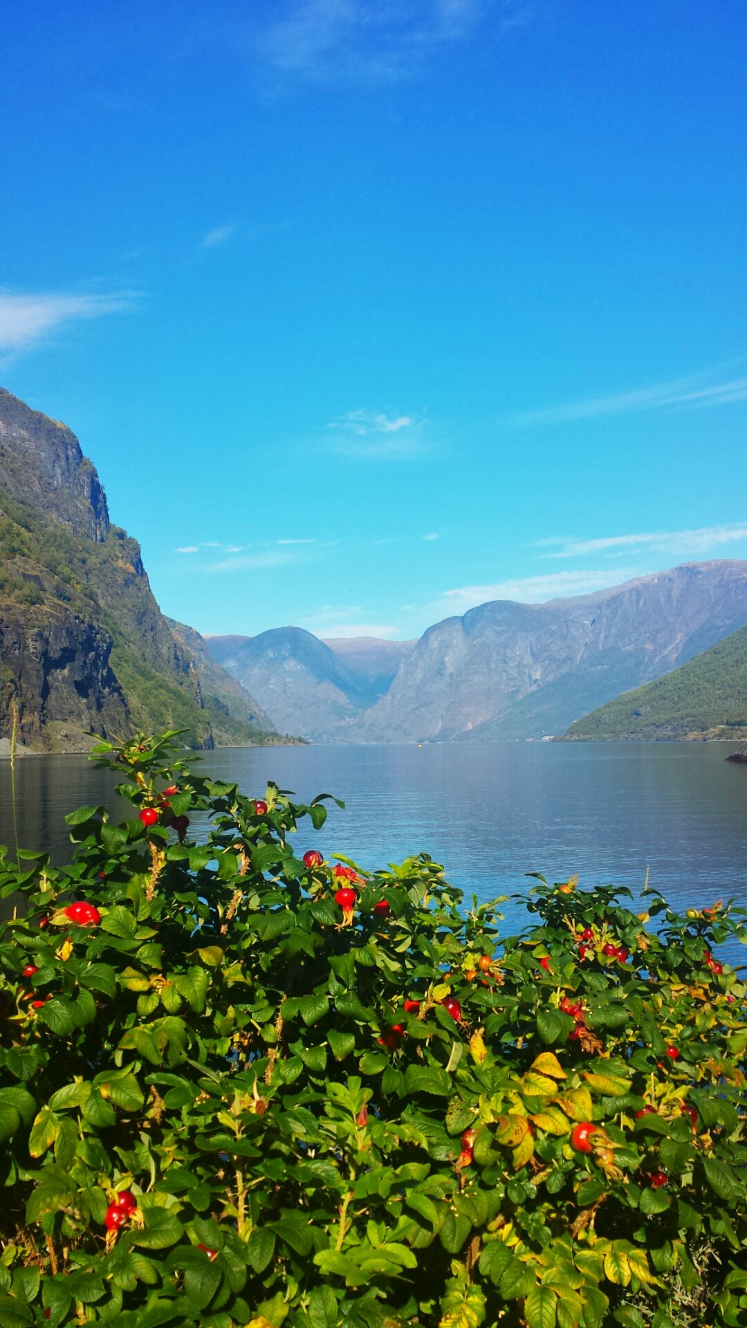 Flam_Norway_Scenic_Fjords_Sognefjord
