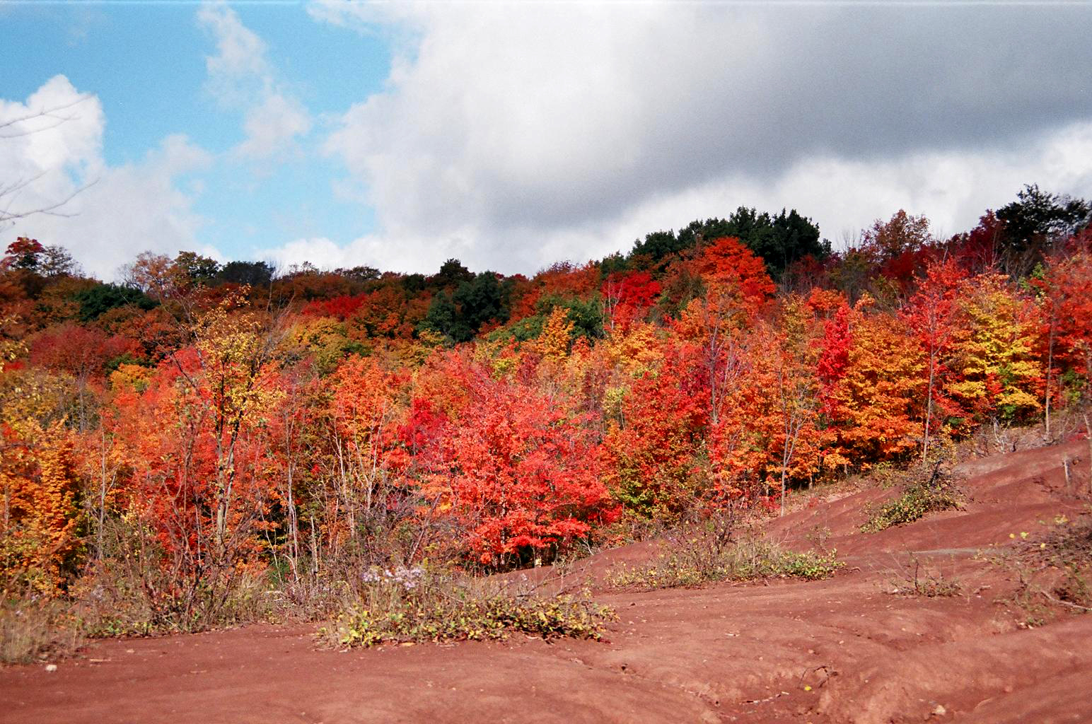 Autumn_Ontario_Canada