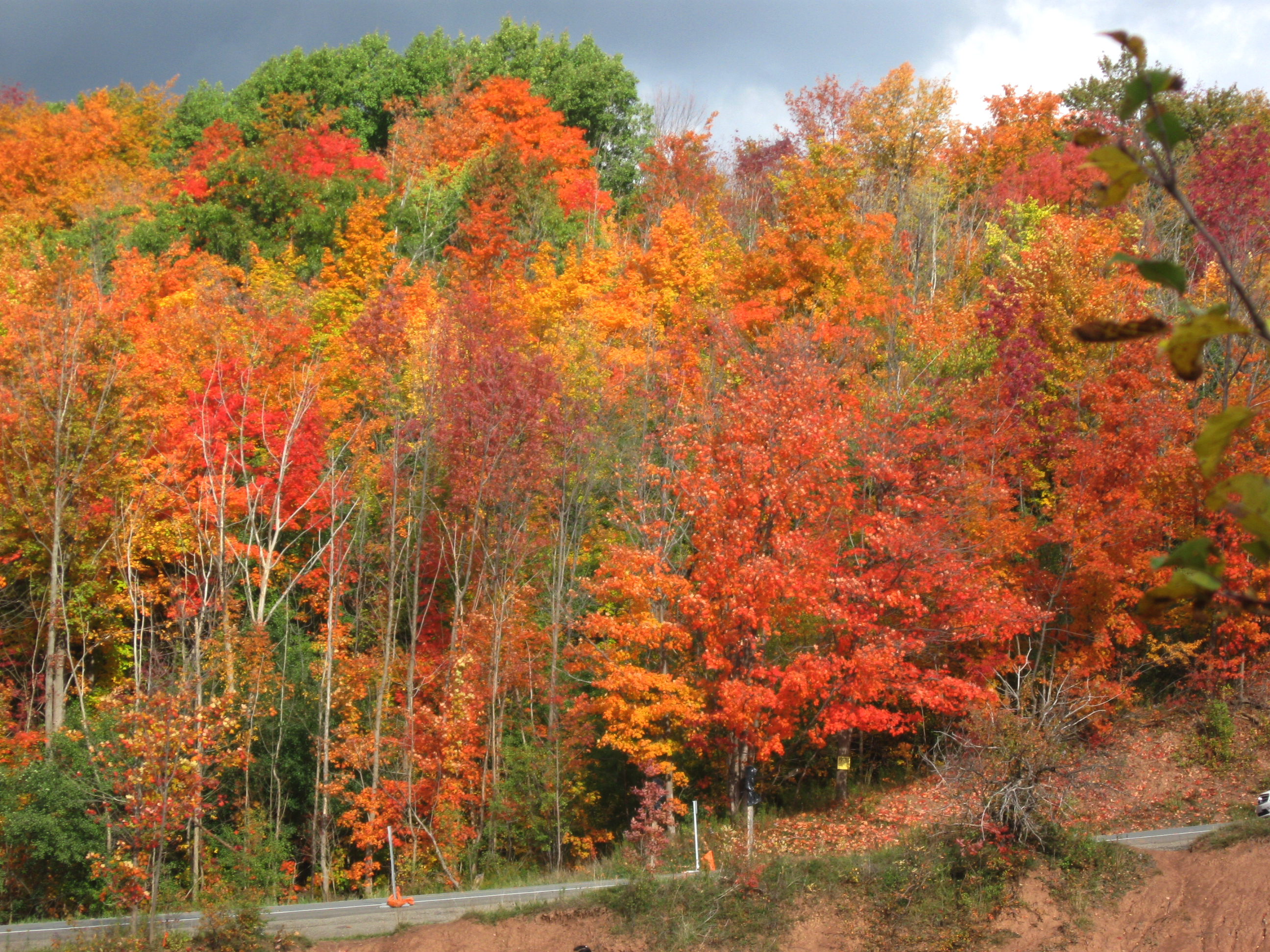 Autumn_Ontario_Canada