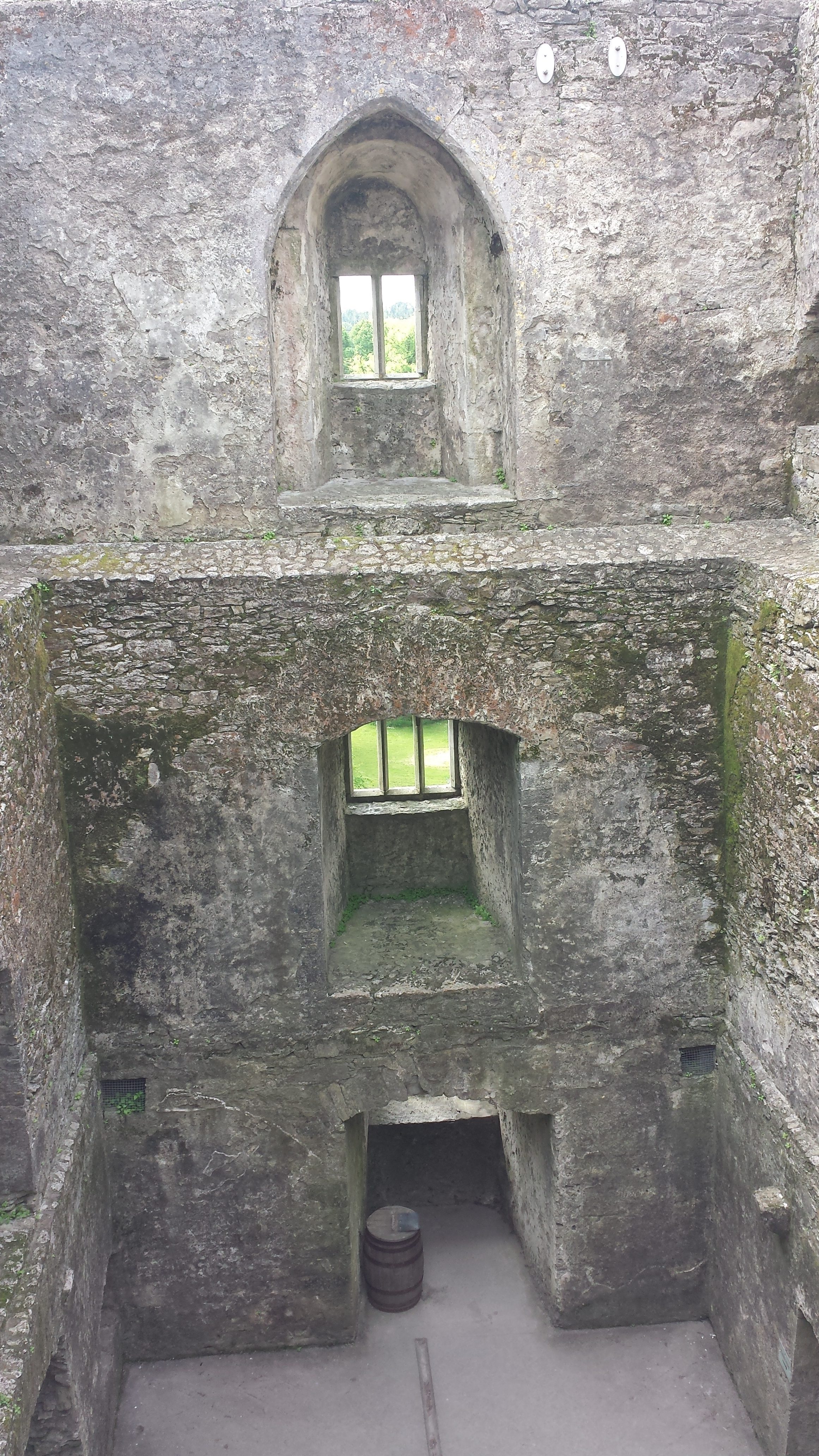 Blarney_Castle_Day_Trip_Ireland