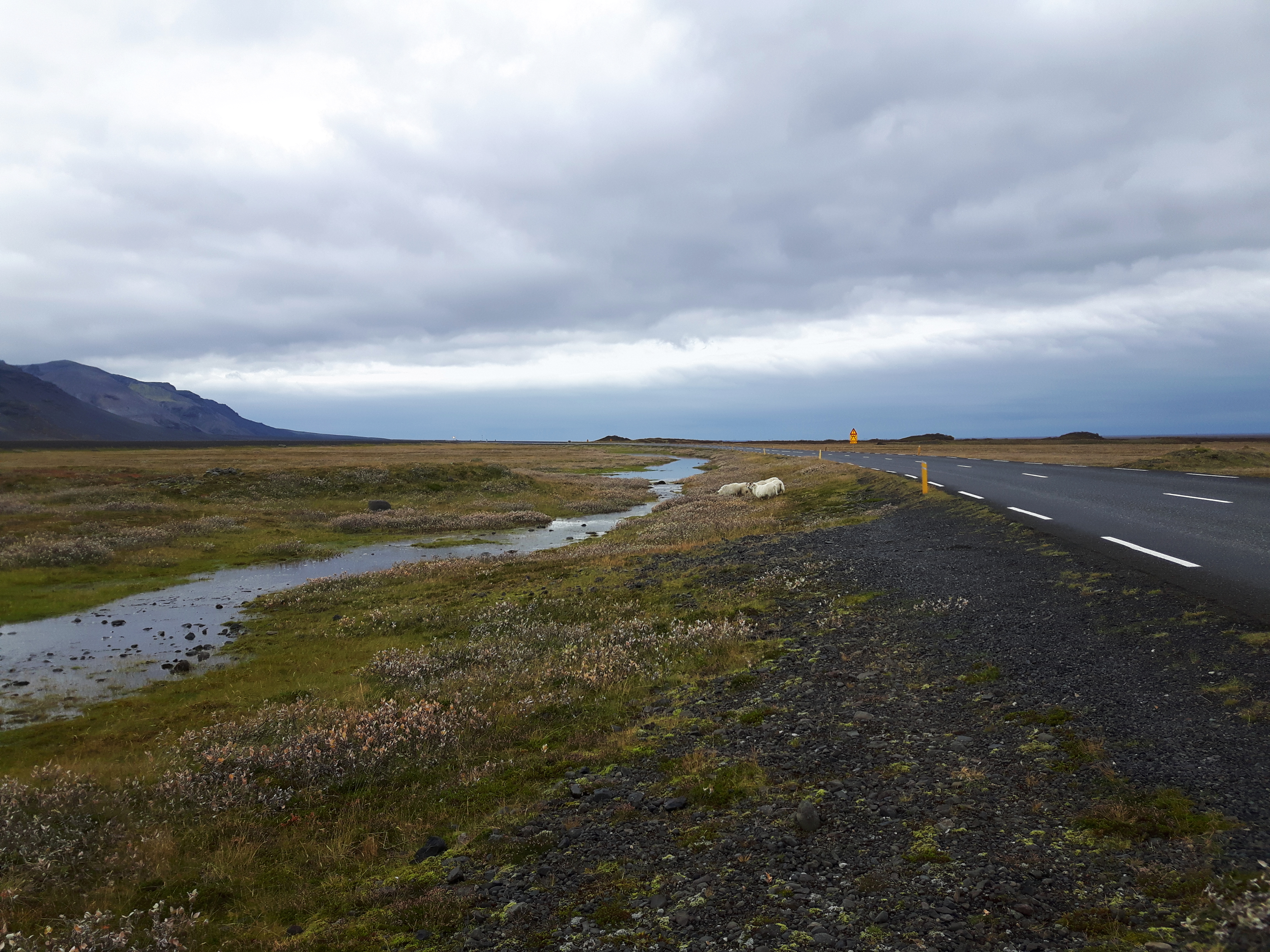 Icelandic_Ring_Road_Hofn_Iceland