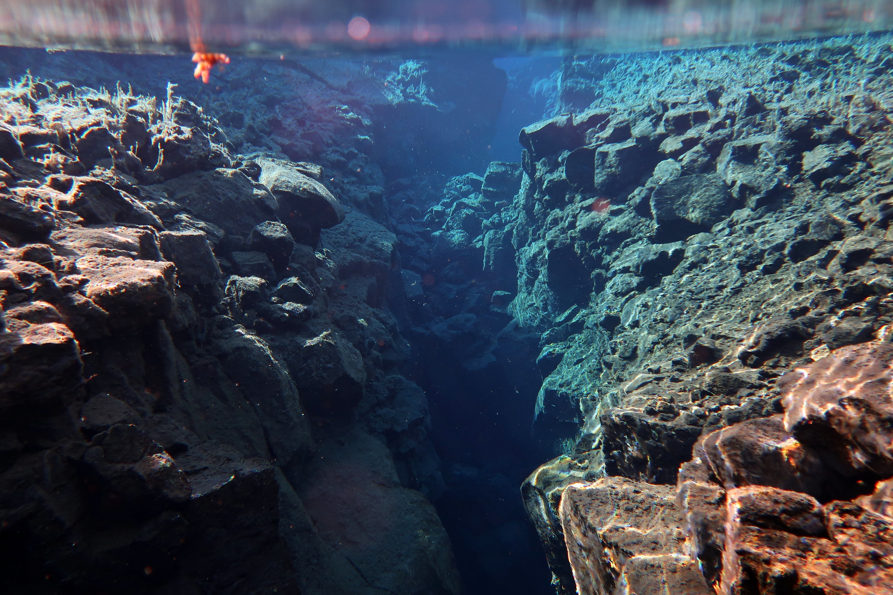 Snorkeling_Silfra_Fissure_DiveIS_Iceland