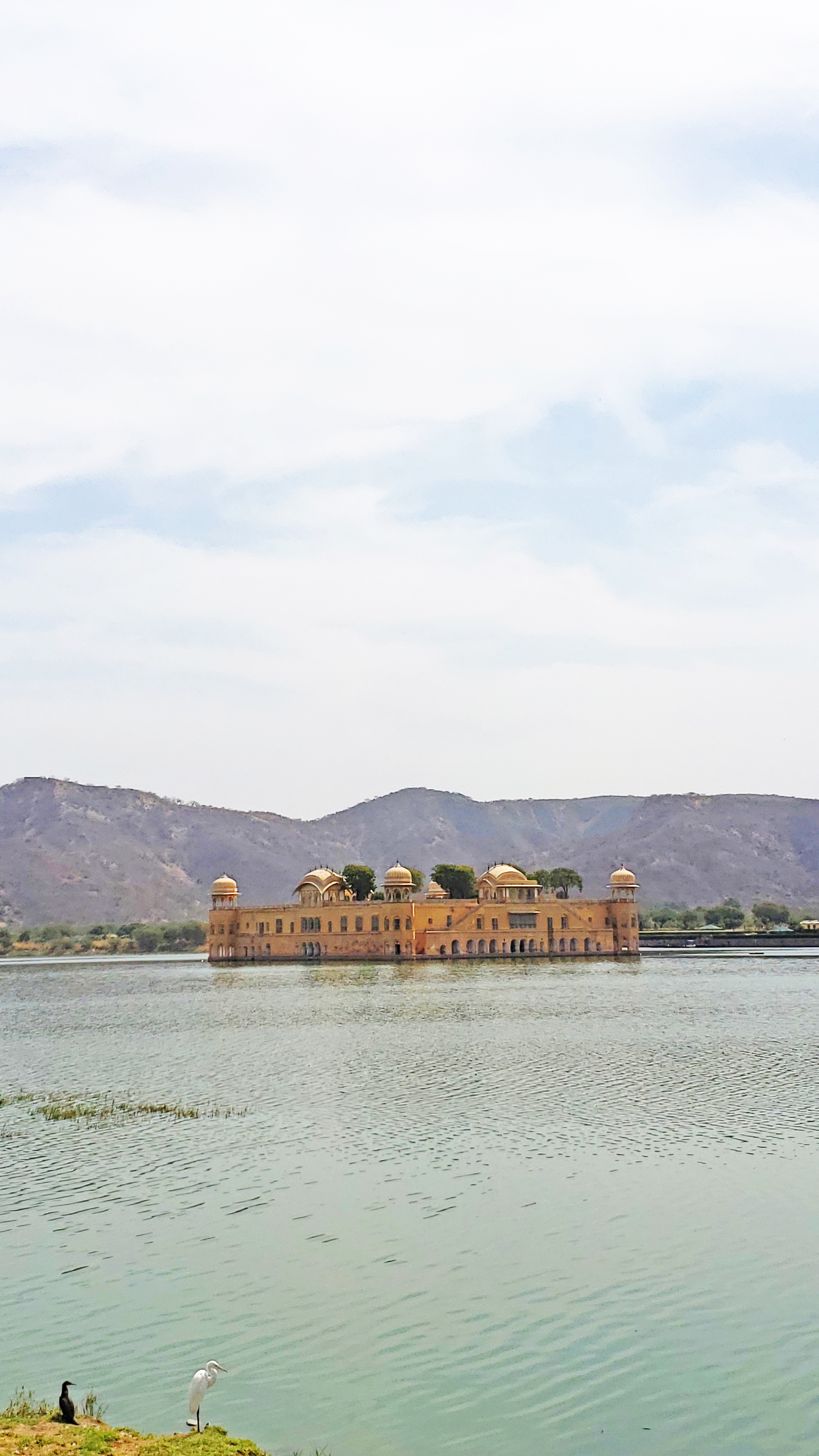 Exploring_Jaipur_India_Complete_City_Guide_Pink_City
