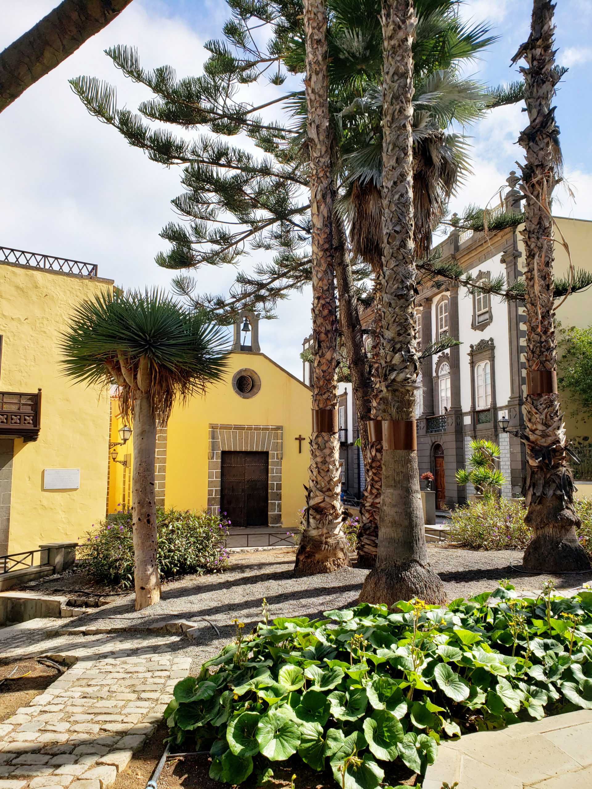 Things_To_Do_In_Las_Palmas_De_Gran_Canaria