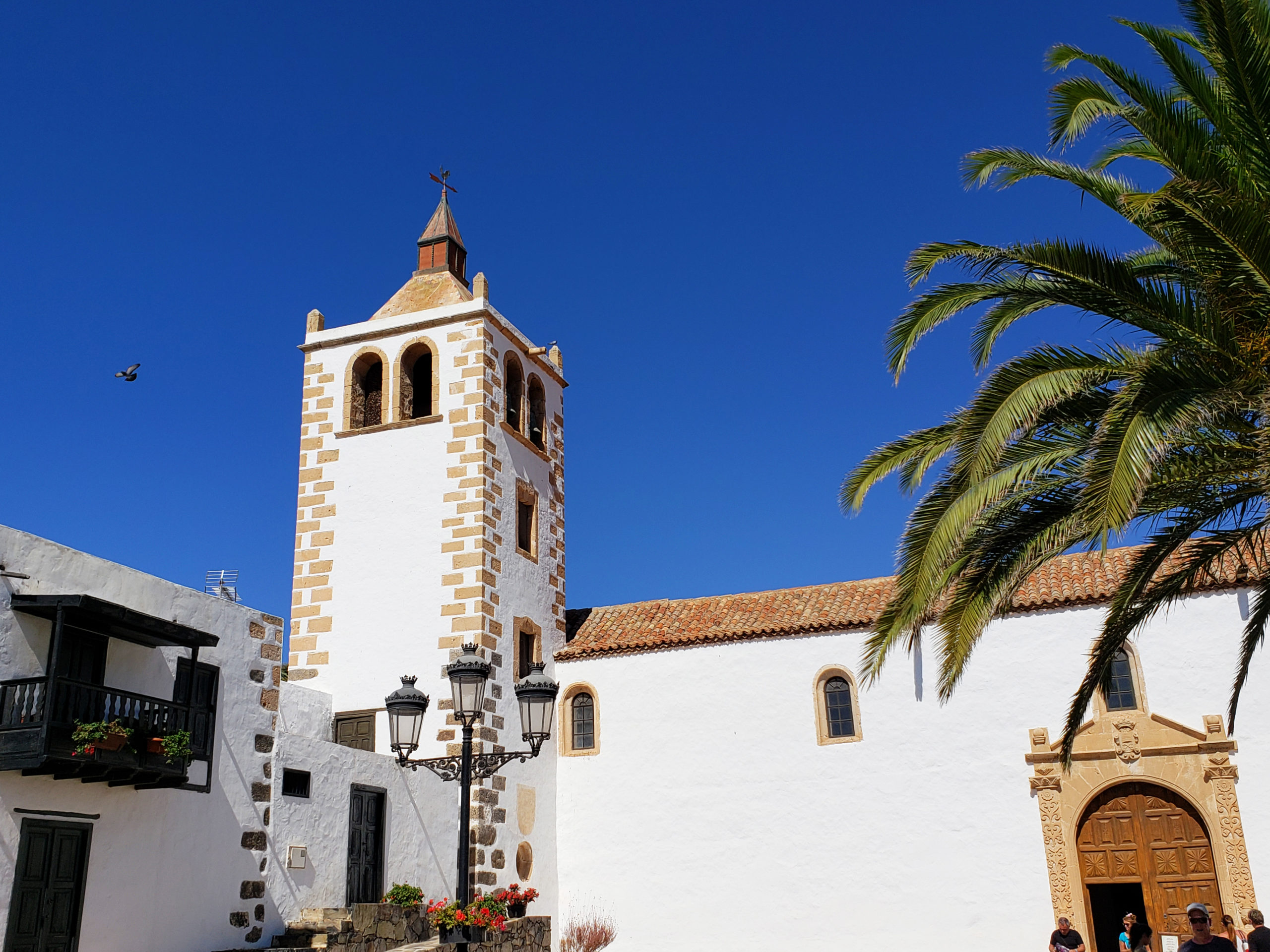 Welcome_To_Fuerteventura_Canary_Islands