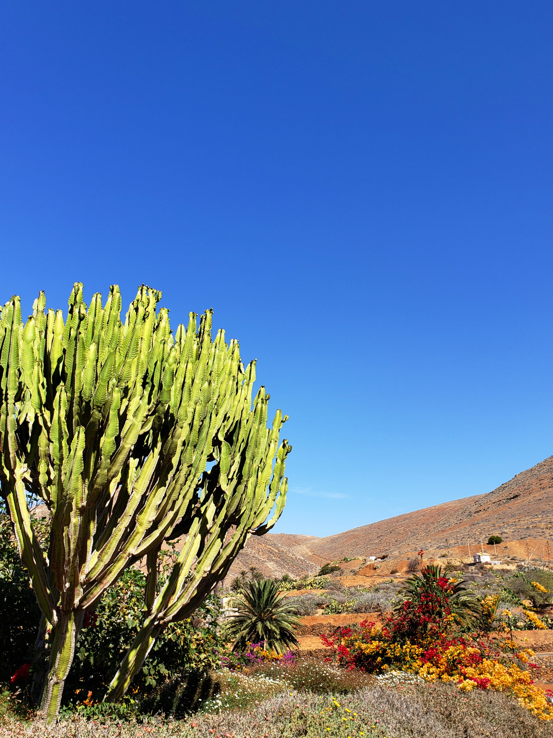 10_Reasons_Why_You_Need_To_Visit_Canary_Islands