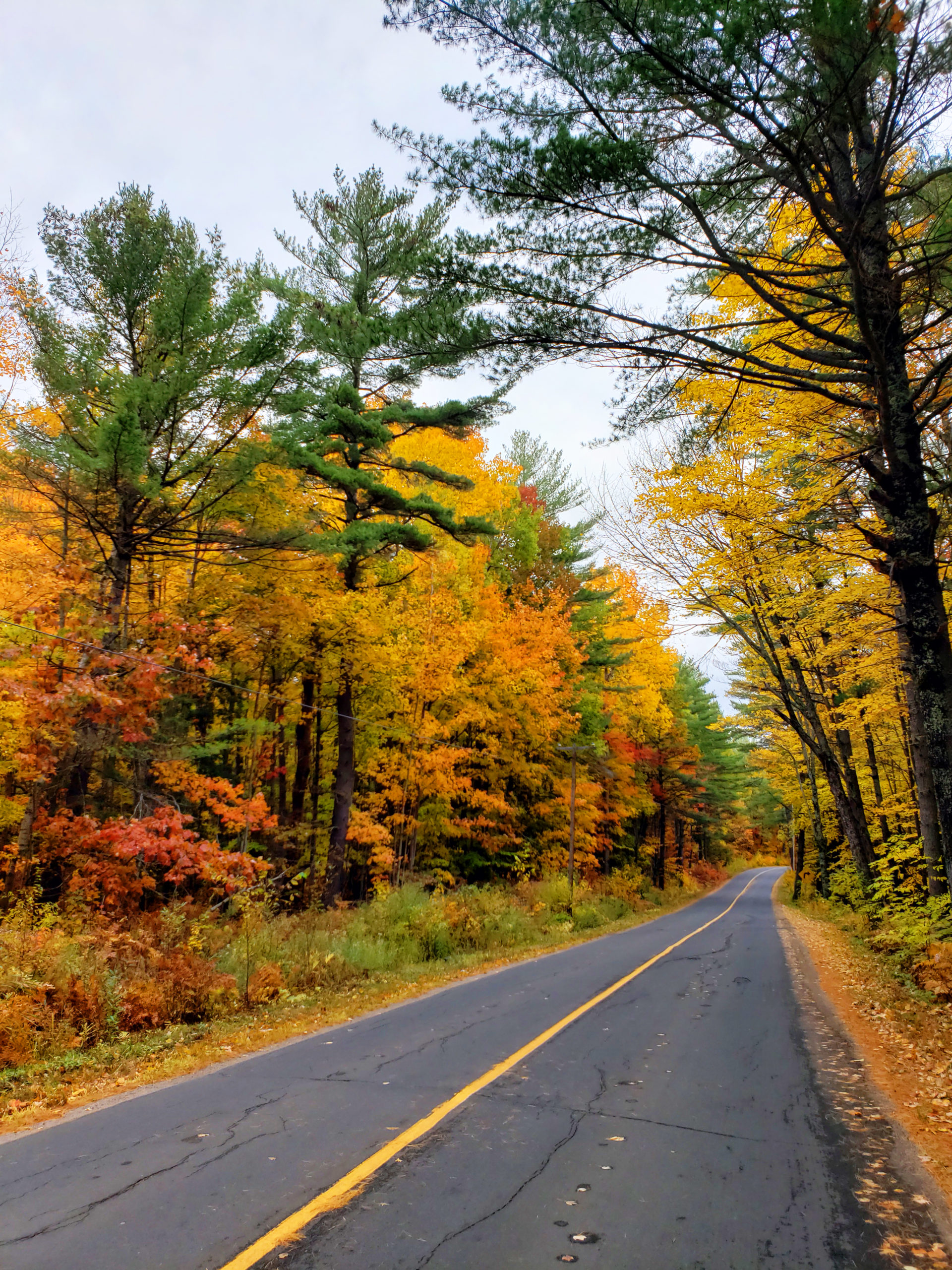 25 Photos Proving That Ontario, Canada Is The Best Place To View Autumn Leaves