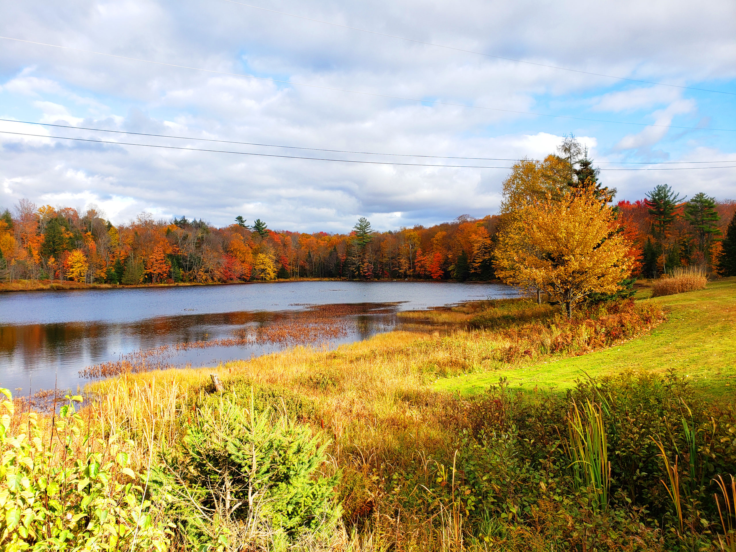 25 Photos Proving That Ontario, Canada Is The Best Place To View Autumn Leaves