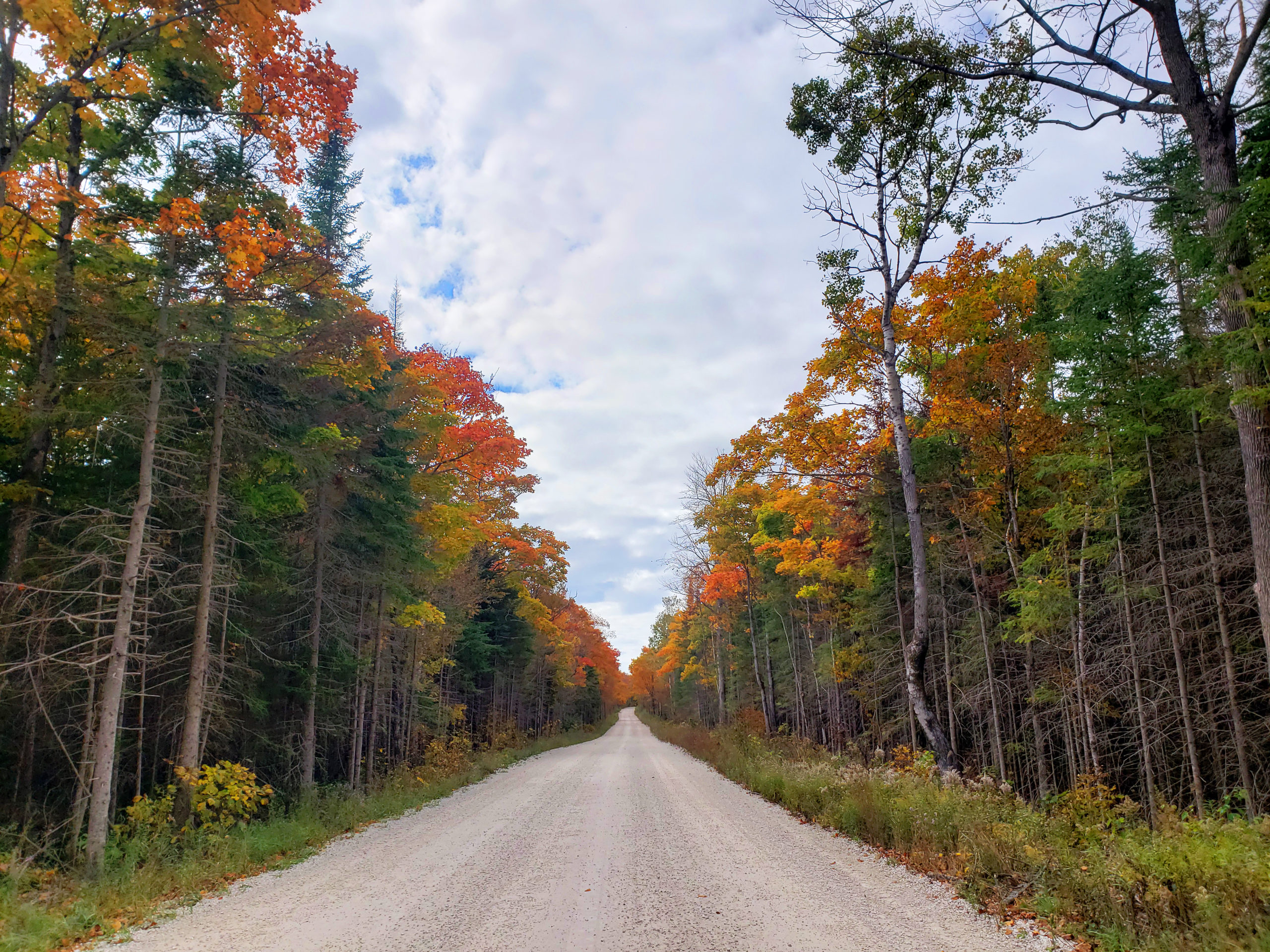 What To See & Do While Visiting Tobermory, Ontario, Canada