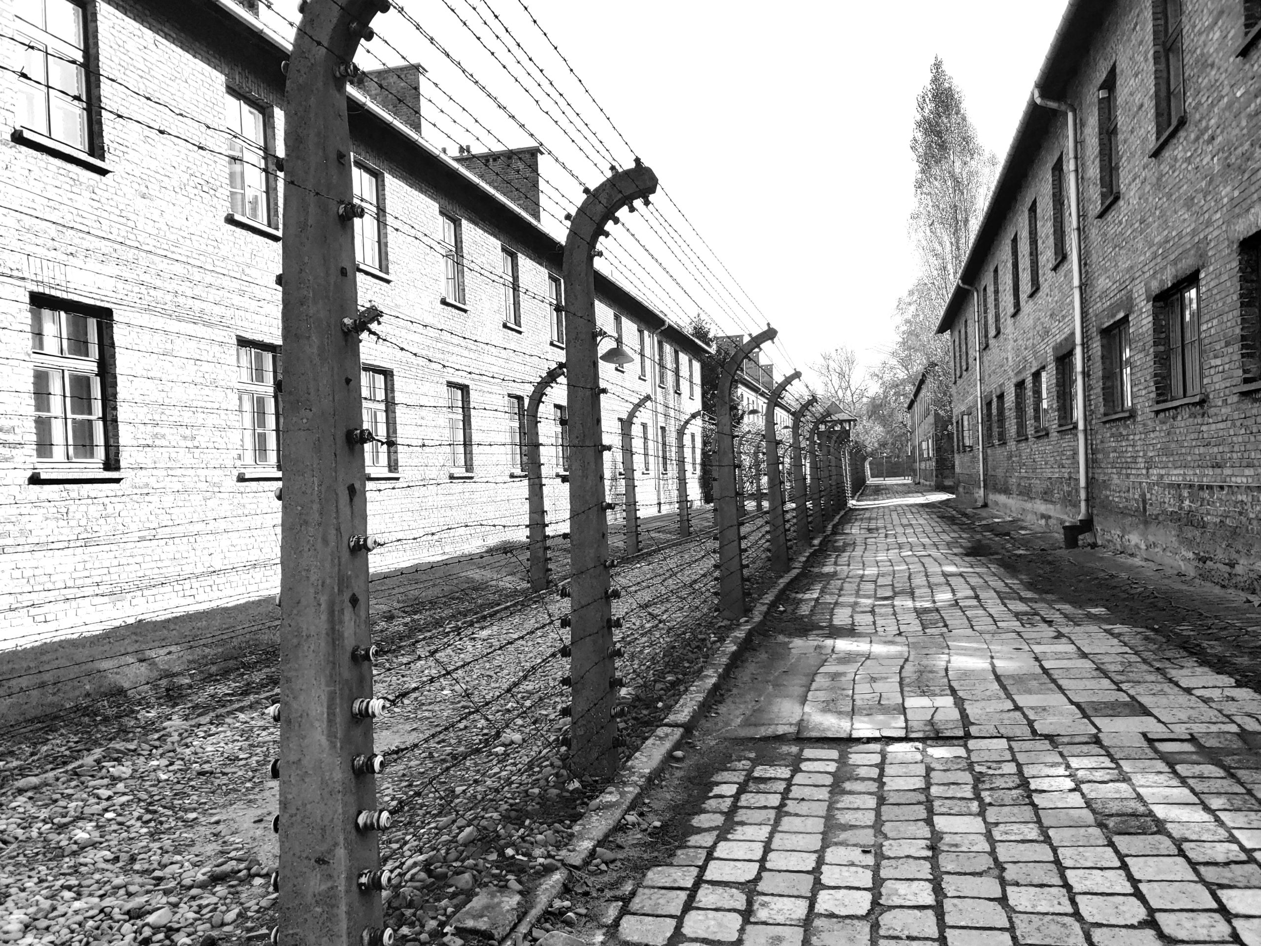 A Present Walk Through Yesterday's History - A Visit To Auschwitz-Birkenau