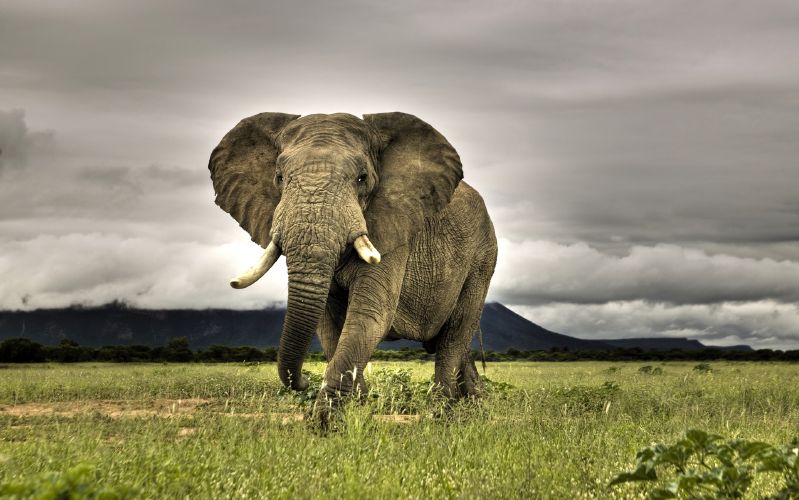 South_African_Adventure_Travel