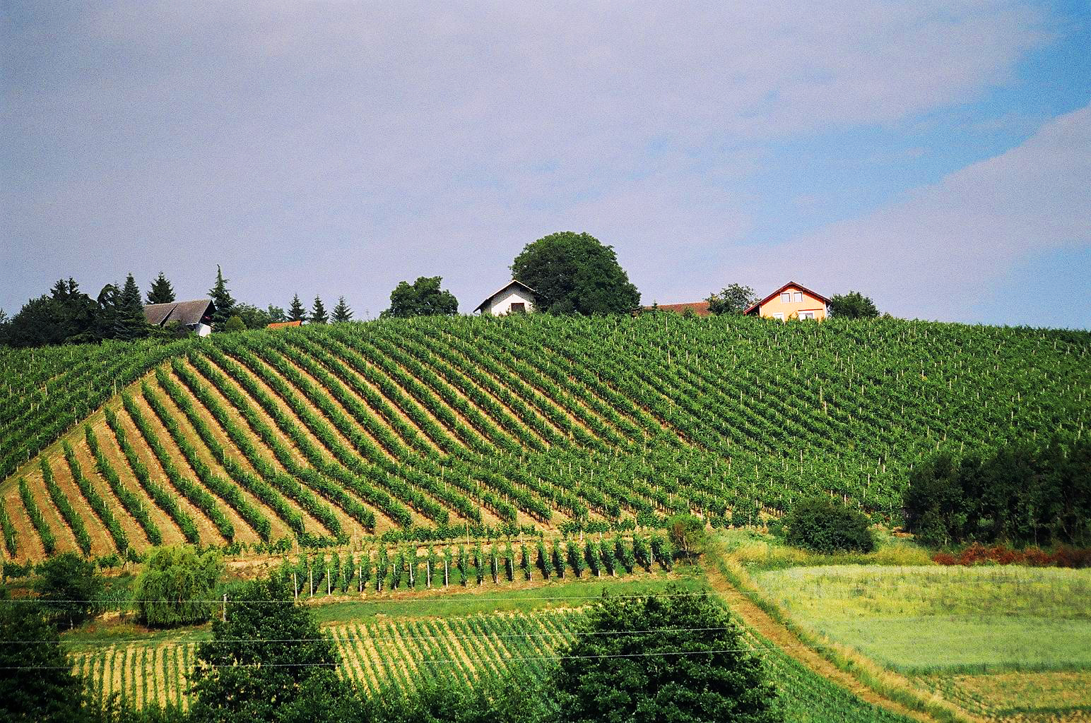 First_Trip_Abroad_Croatia_Slovenia_Europe