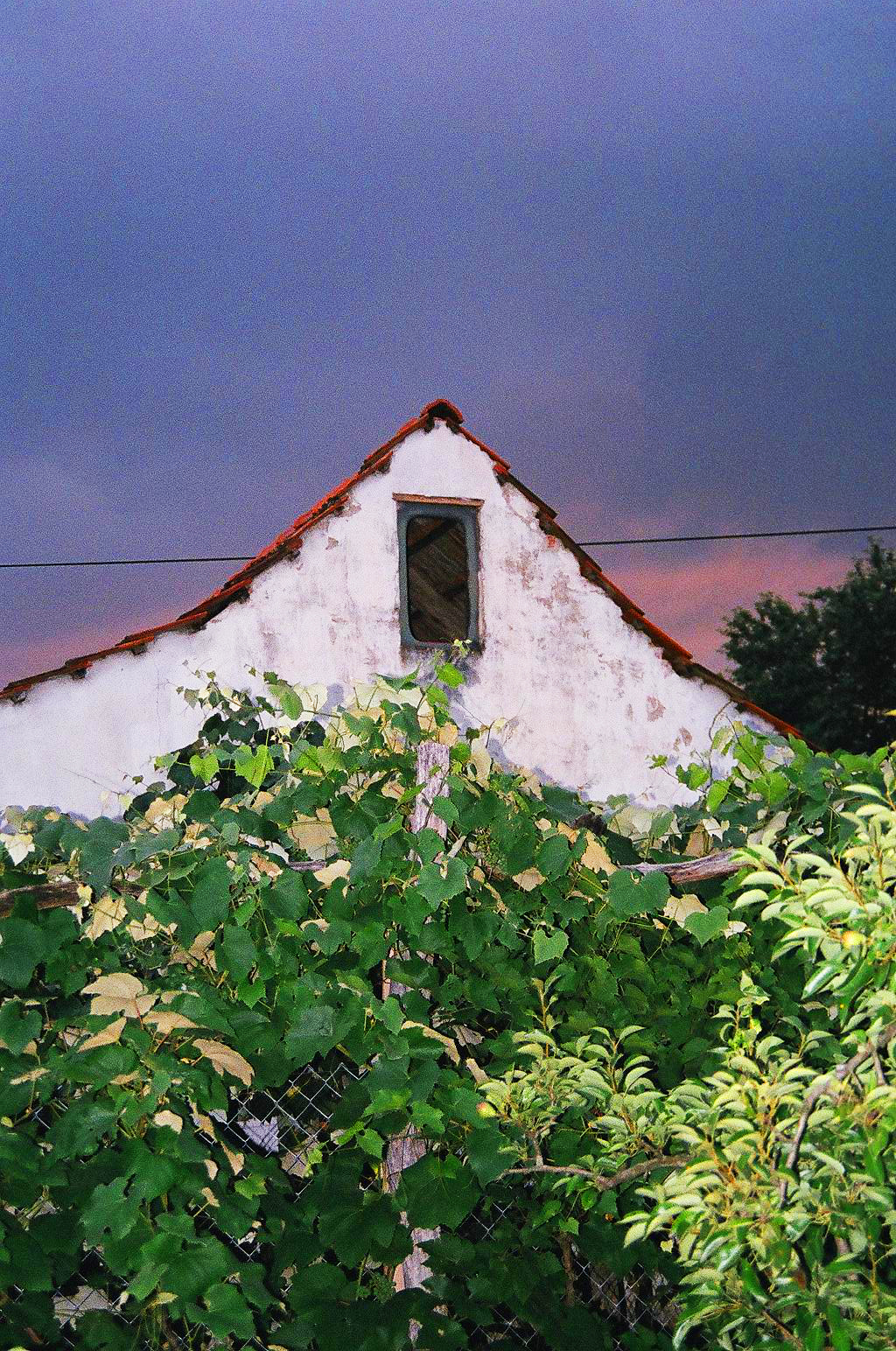 First_Trip_Abroad_Croatia_Slovenia_Europe