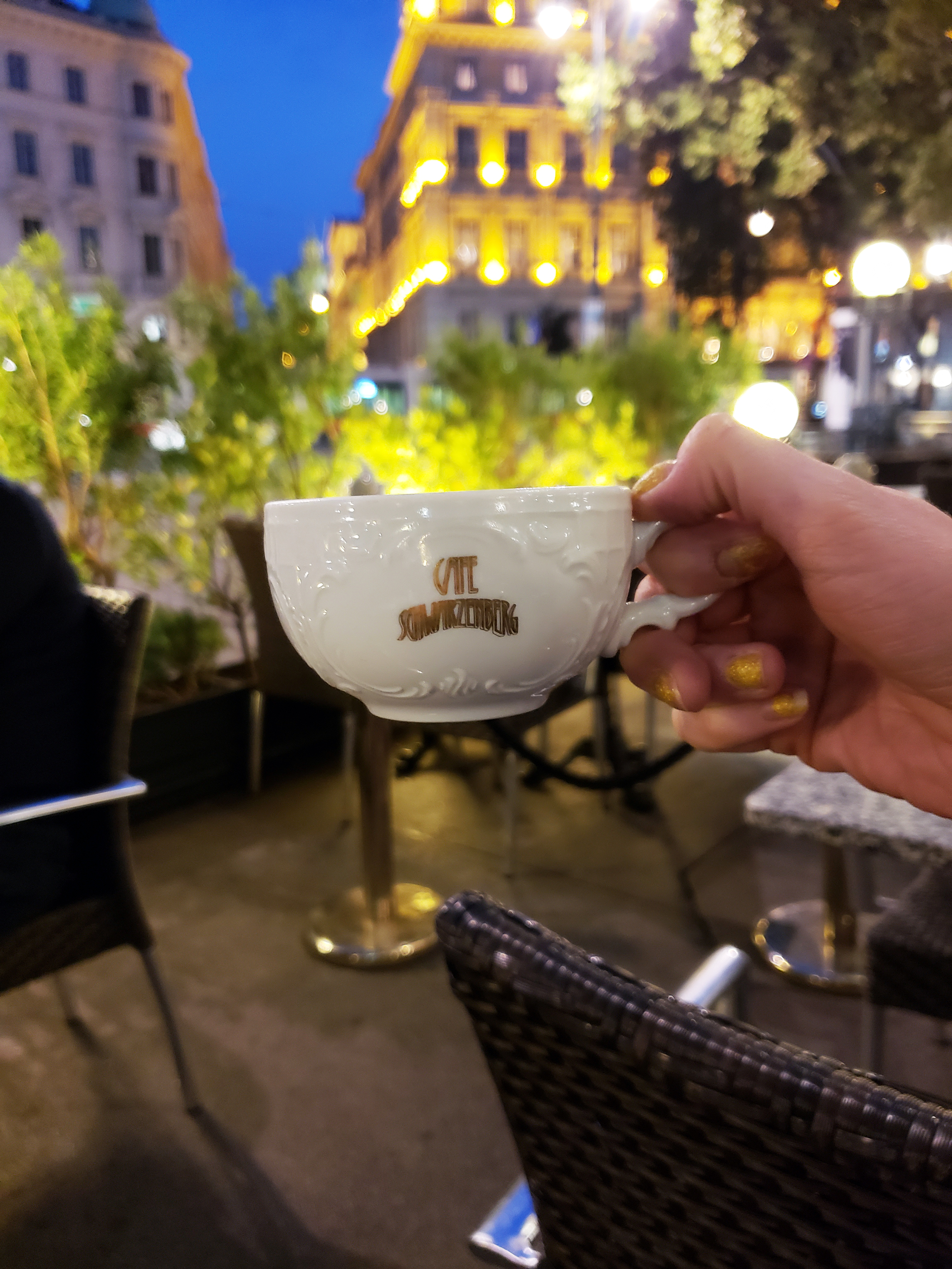 Visiting_A_Traditional_Austrian_Coffee_House
