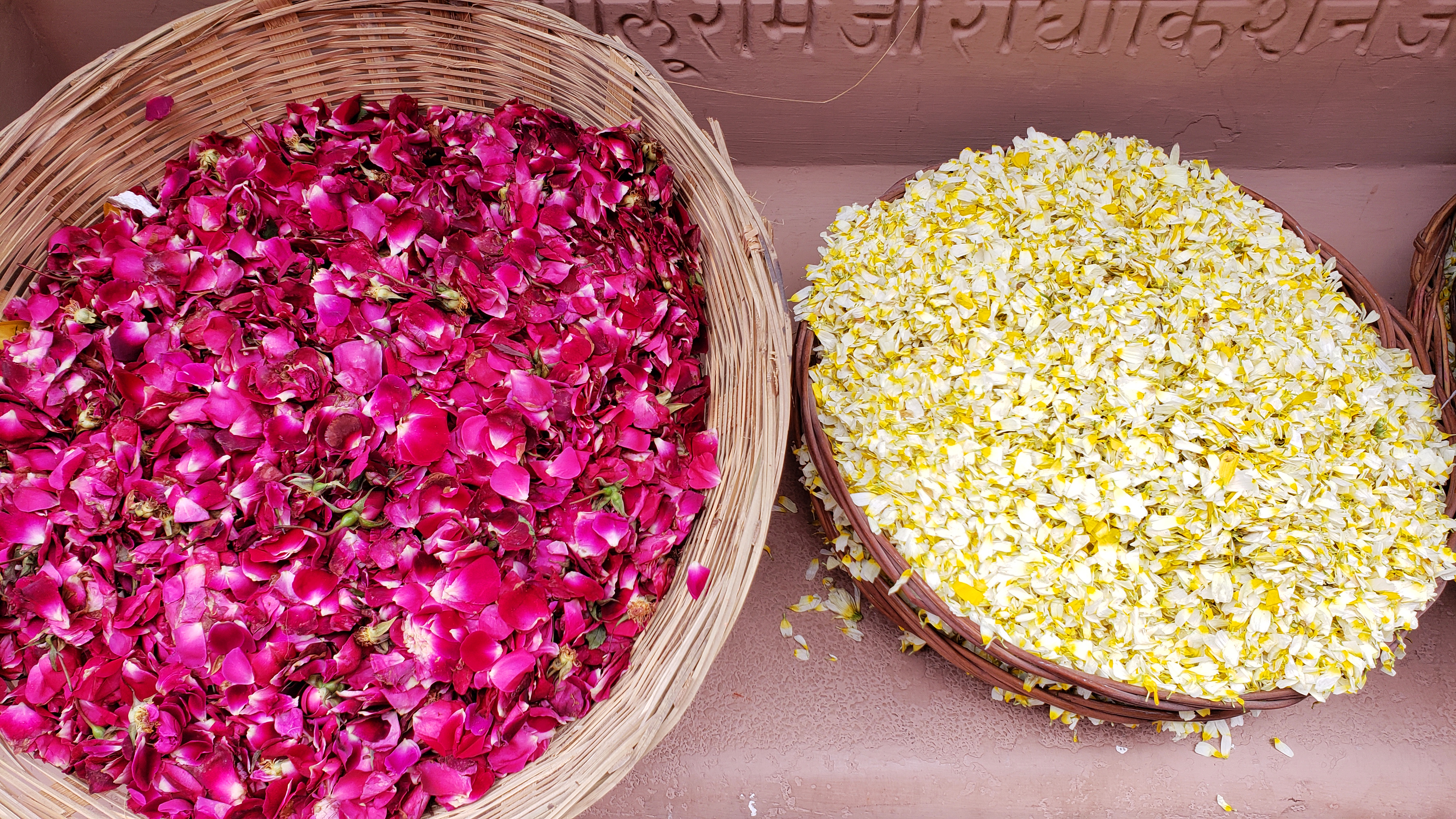 Your-Essential-Guide-To-Celebrating-The-Holi-Festival-In-India