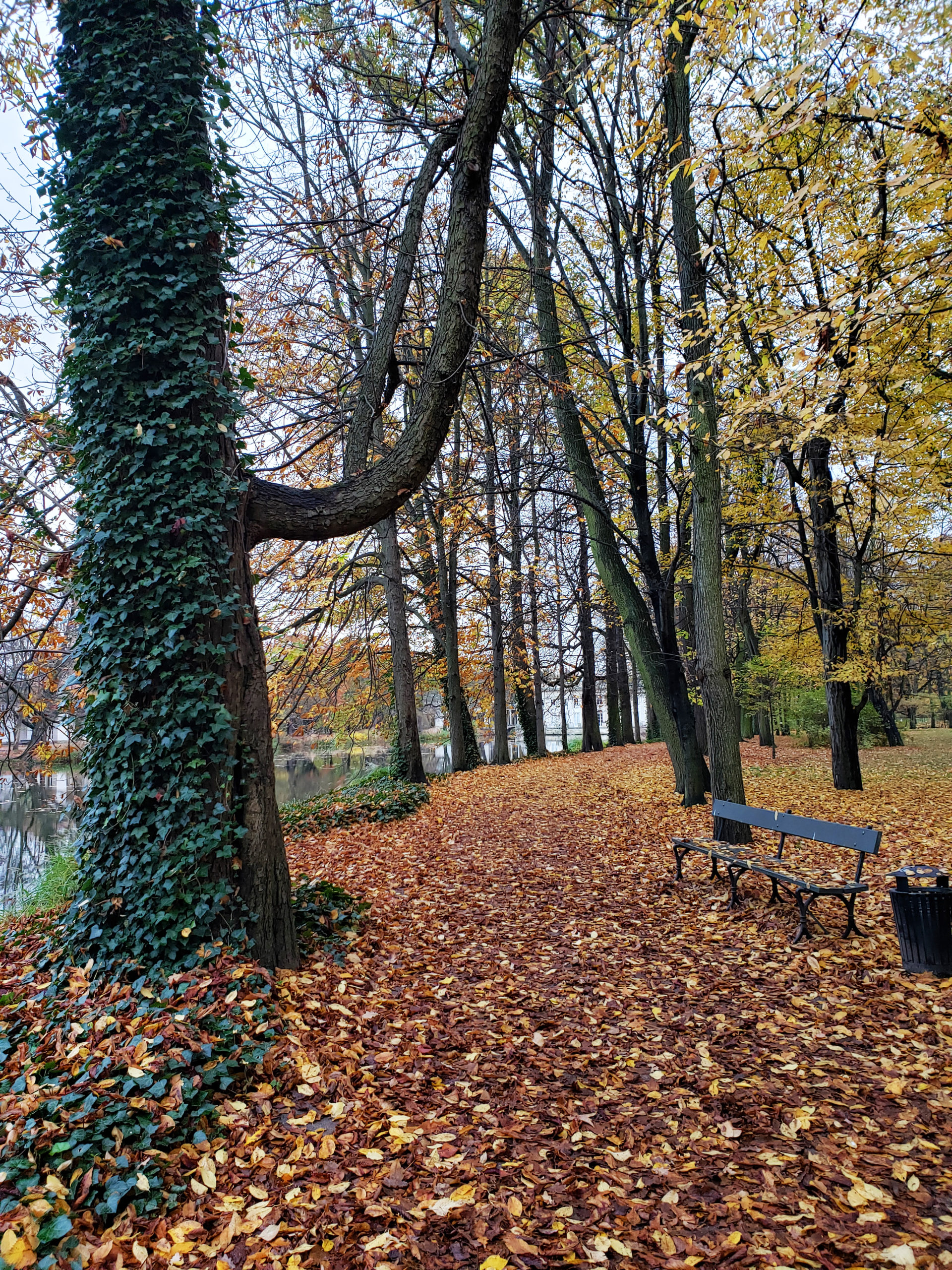 The Ultimate City Guide To Visiting Warsaw Poland