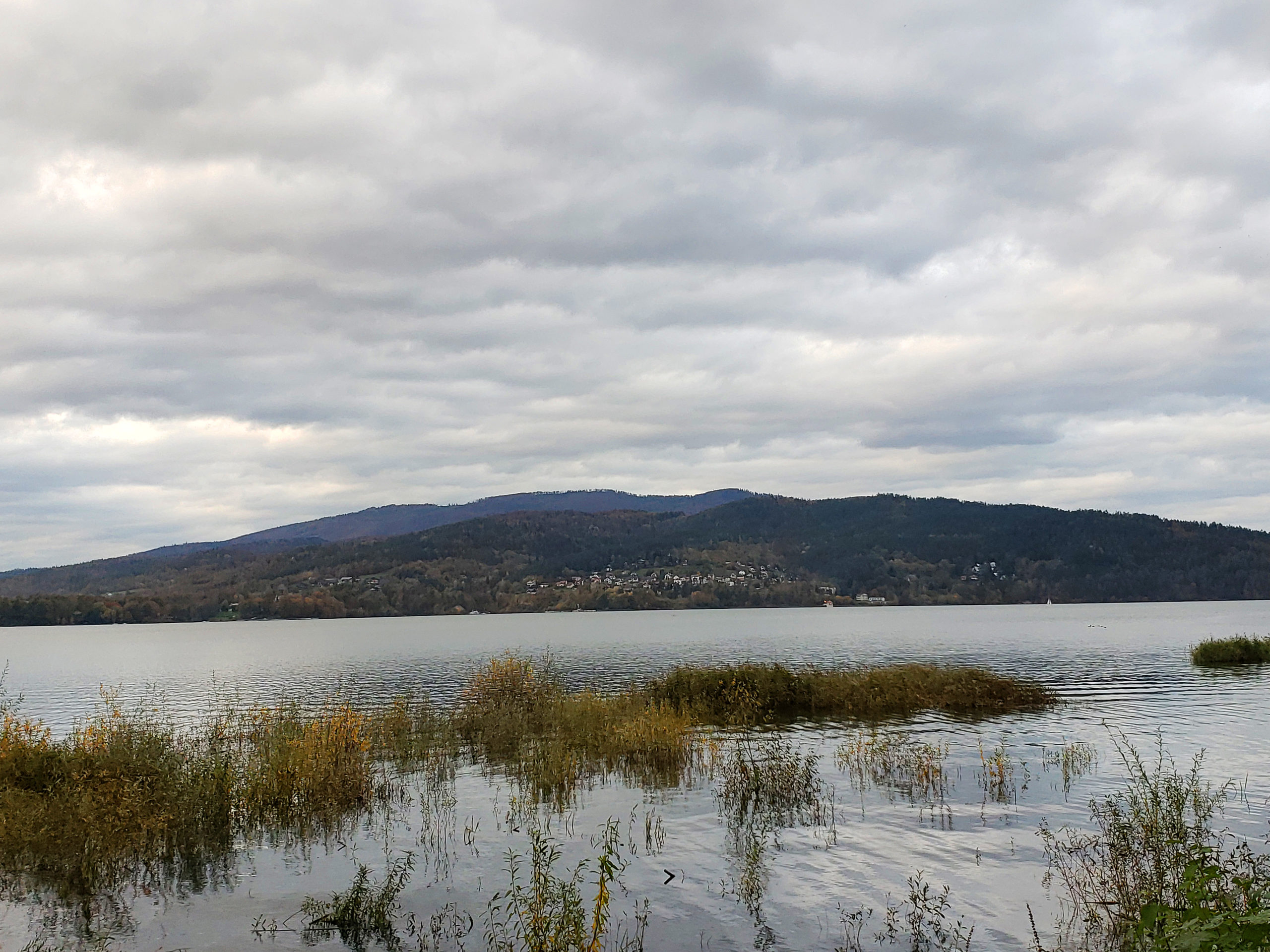 Discover This Hidden Gem In Poland - Welcome To Żywiec