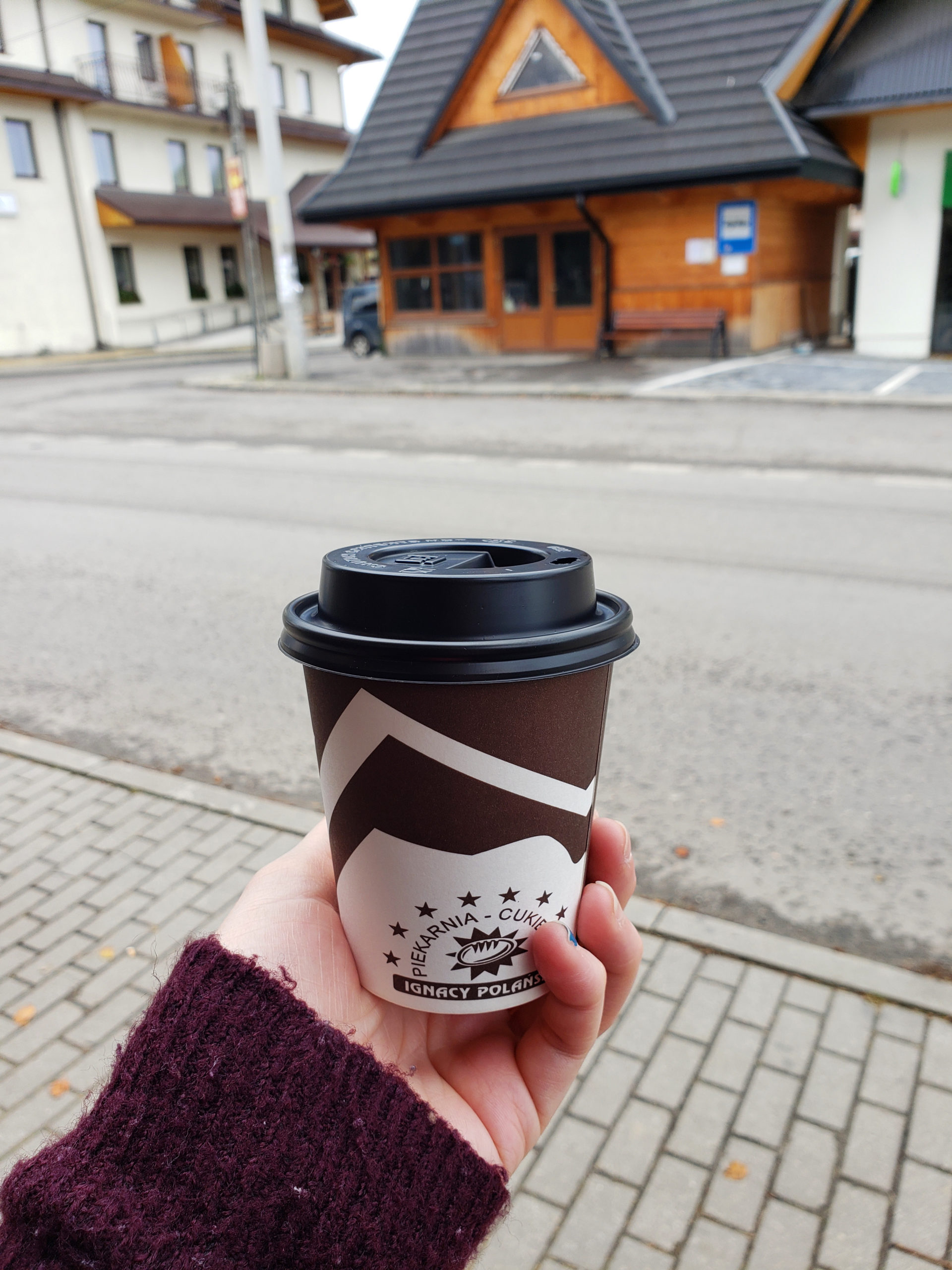 2 Days In The Quaint Village Of Poronin, Poland