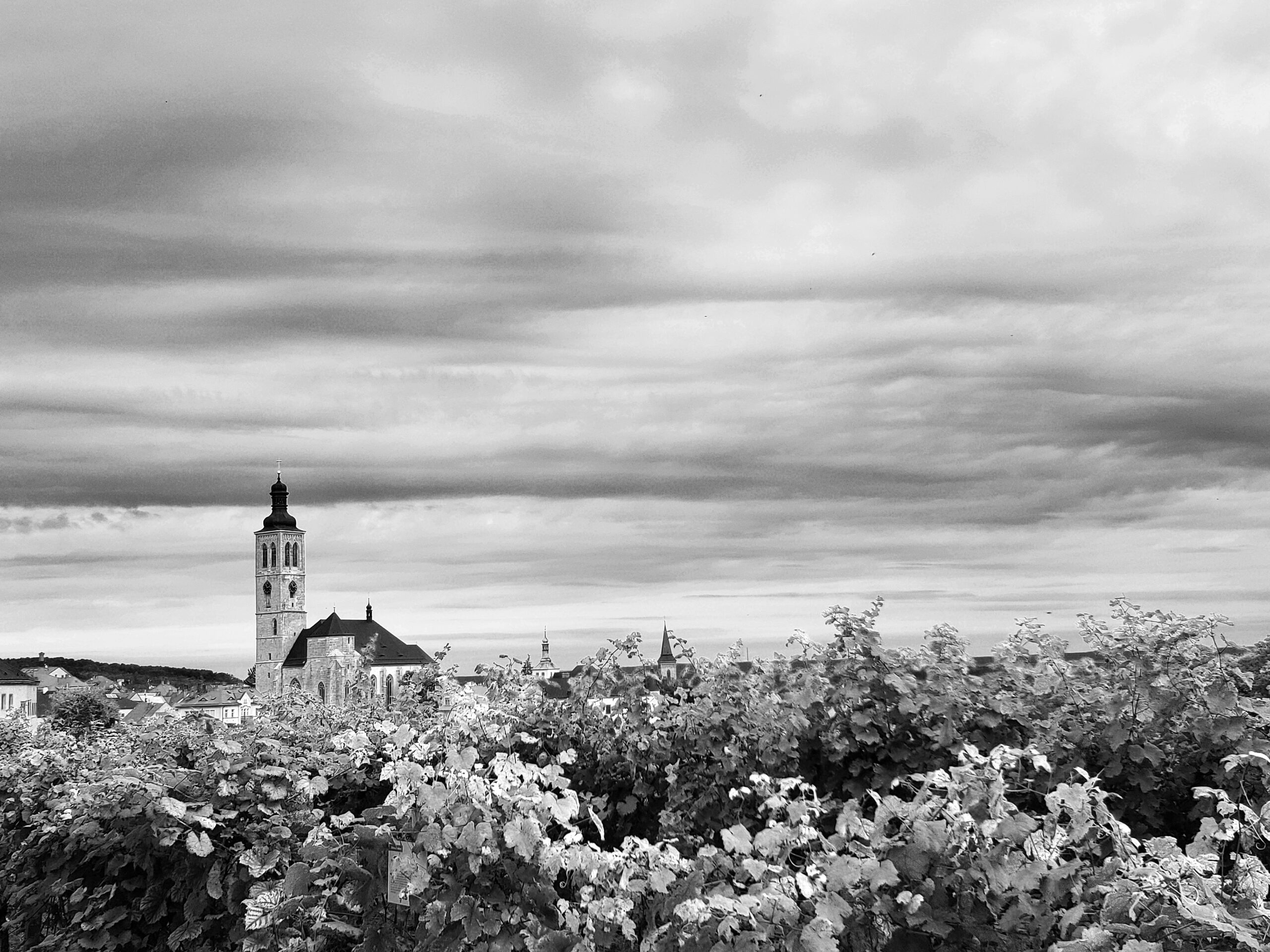 Kutná Hora Day Trip From Prague